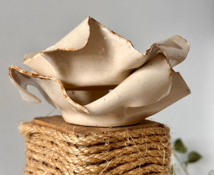 USE THE PAPER PLATES